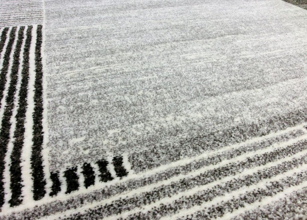 Kusový koberec Loftline K11498-01 grey č.2