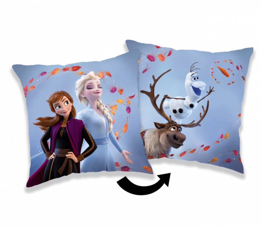 Polštářek micro fleece Frozen Wind 35 x 35 cm č.1