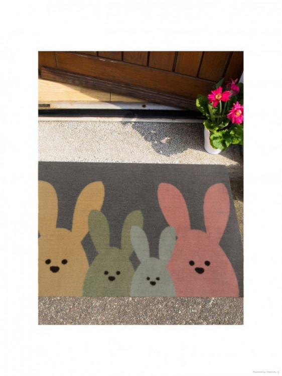 Protiskluzová rohožka Printy 104452 Grey, Multicolor - na ven i na doma č.3