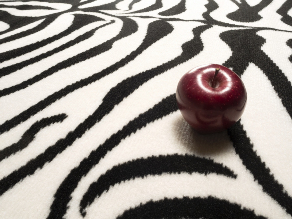 AKCE: Kusový koberec Zebra black/white č.8