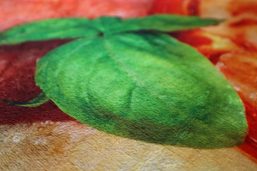 AKCE: Kusový koberec Pizza  č.5