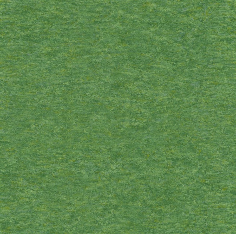 Linoleum XF2 650 (Tarkett) VESNA