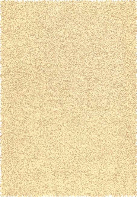 Kusový koberec Spoltex Expo Shaggy 5699/366 č.1