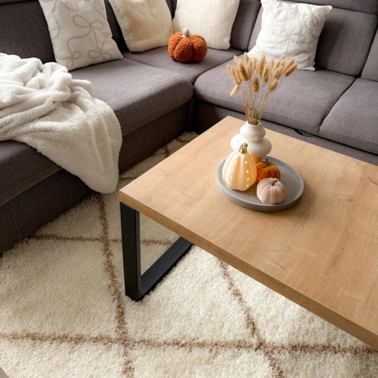 Kusový koberec Alvor Shaggy 3401 cream č.8