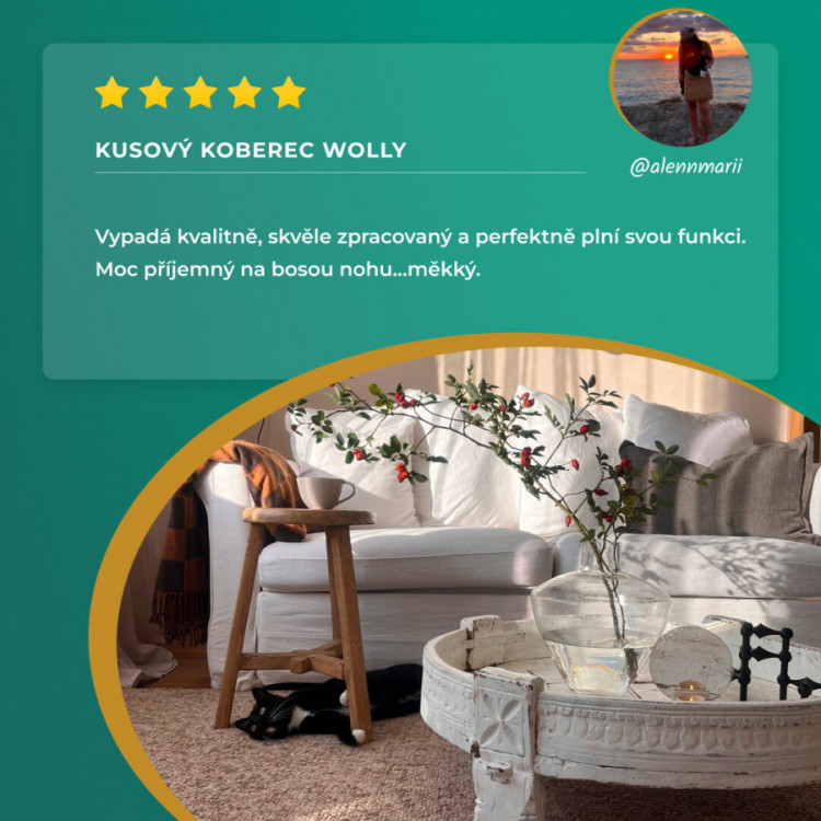 Kusový koberec Wolly 102842 kruh č.8
