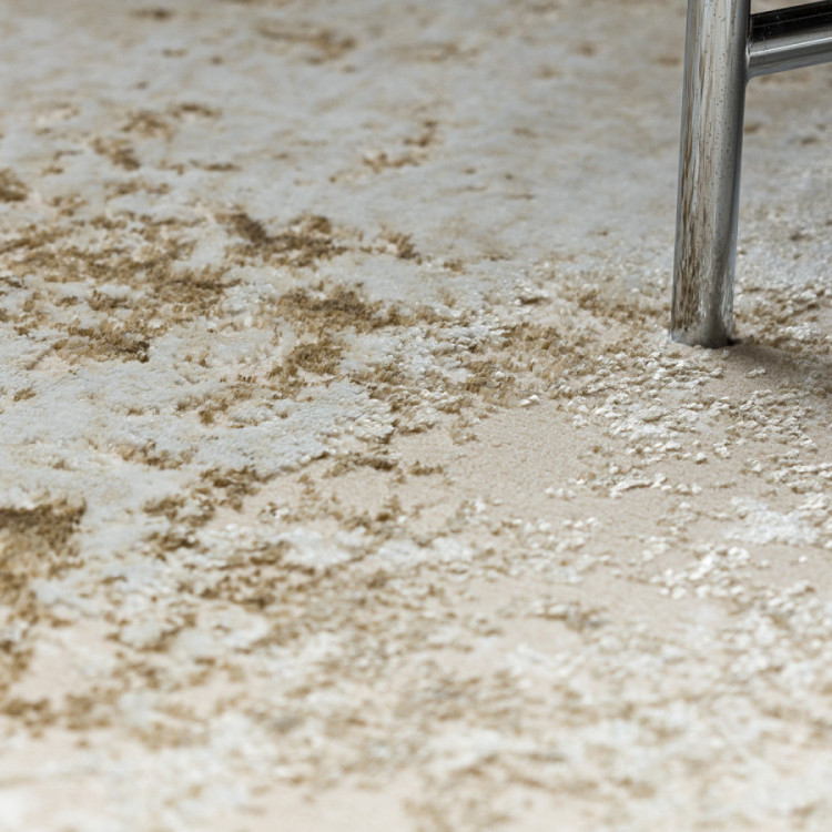 Kusový koberec Allure 1959 cream/beige č.5