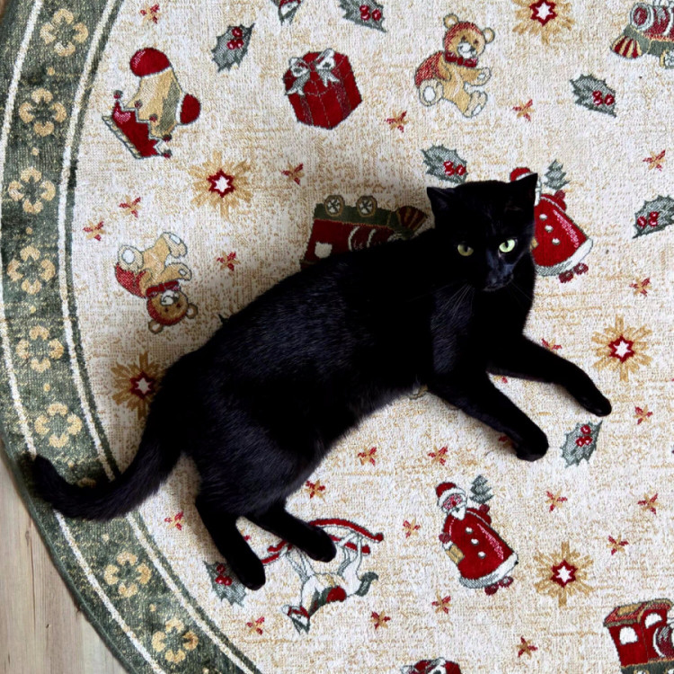 Kusový koberec Villeroy & Boch Toy's delight se střiženým vlasem 106218 Green, Multicolor kruh č.13