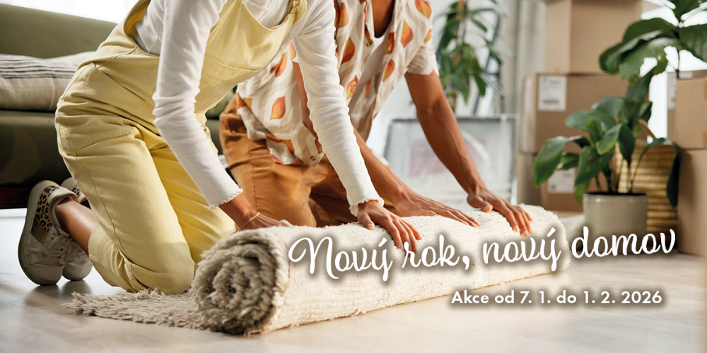 Nový rok, nový domov