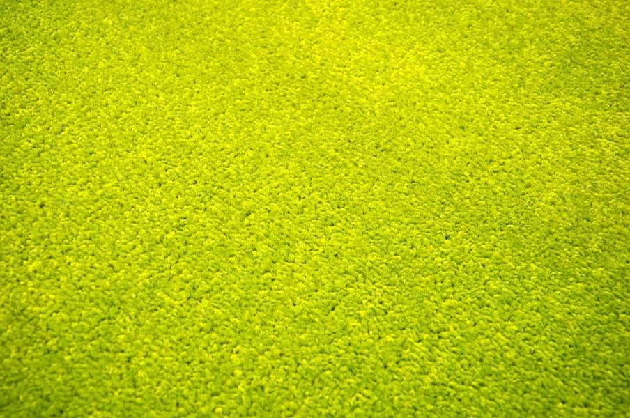 Kusový koberec Eton zelený č.1