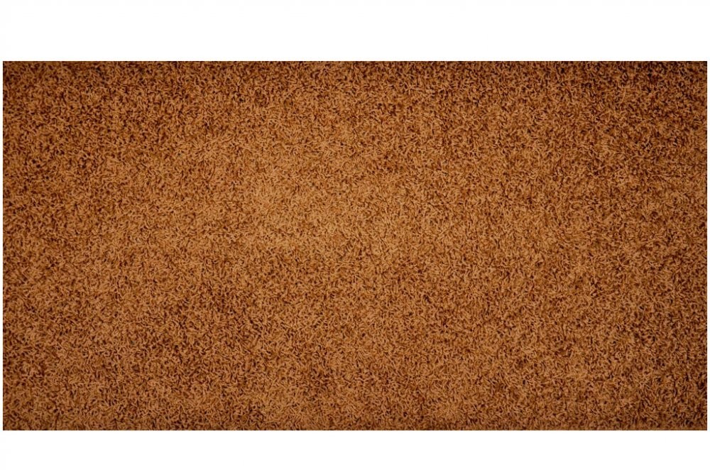 Kusový koberec Elite Shaggy světle hnědý č.1