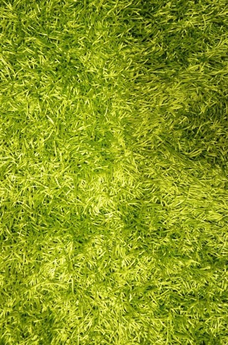 Kusový koberec Paradise zelený - 160x230 cm č.1