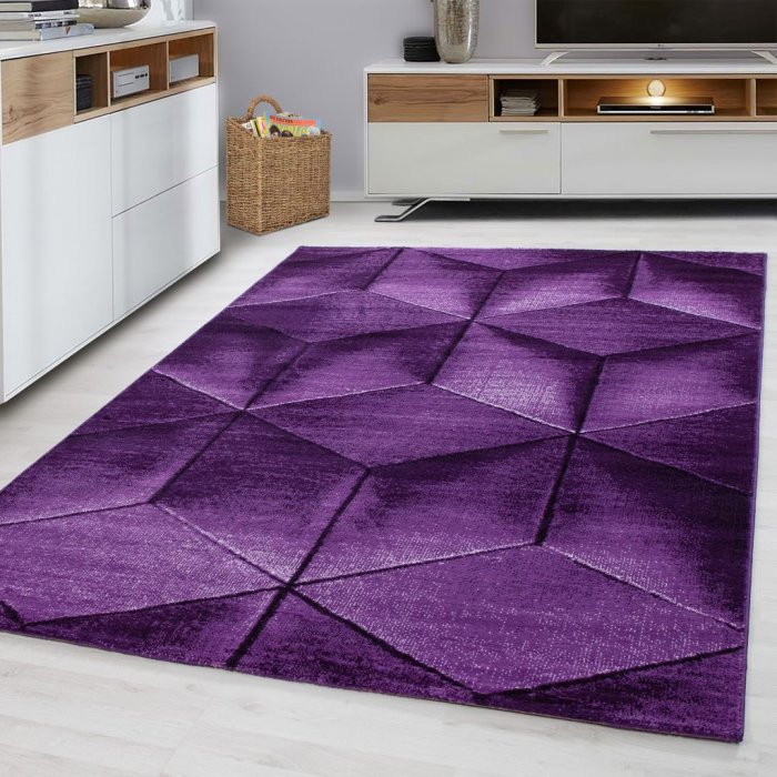 Kusový koberec Parma 9290 lila - 120 x 170 cm - SLEVA č.2