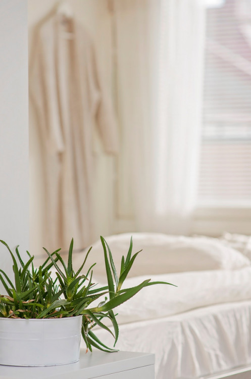 Blahodárné účinky Aloe vera najdete v polštářích, matracích i přikrývkách
