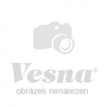 Bellatex Sedák Ivo 40x40 cm Růže červená